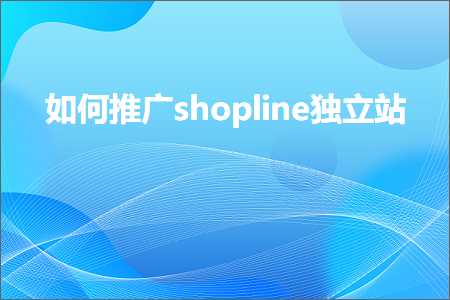 呼伦贝尔网站推广 跨境电商知识:如何推广shopline独立站